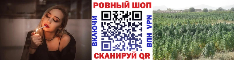 Наркота Щёлково А ПВП  Марихуана  Галлюциногенные грибы  Гашиш  МЕФ 