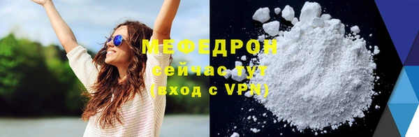 индика Кострома