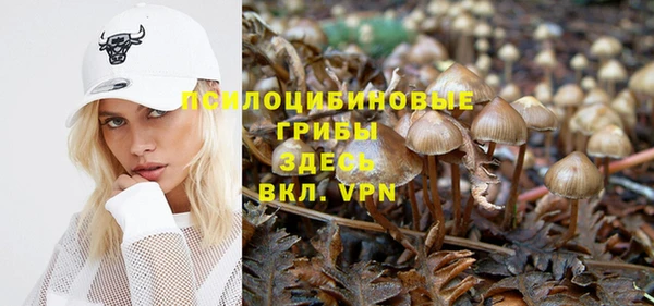 меф Алексин