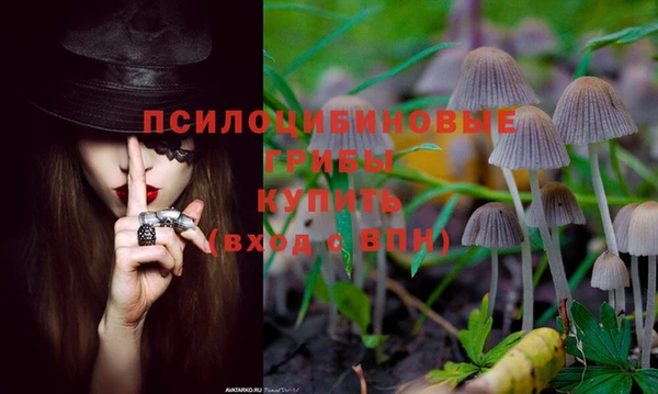 эйфоретик Абдулино
