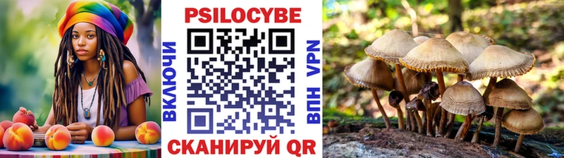 цены наркотик  Щёлково  Псилоцибиновые грибы Psilocybine cubensis 