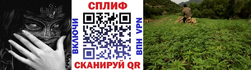 Марихуана план где найти Щёлково